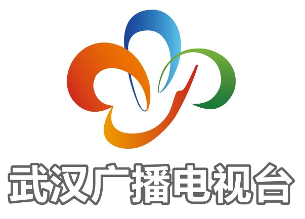 武汉市广播电视台.png