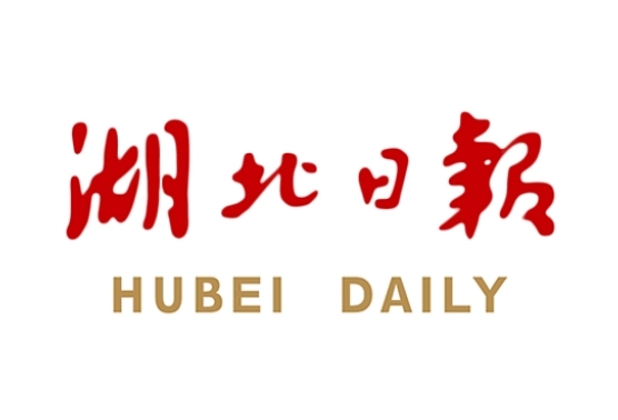 湖北日报.png